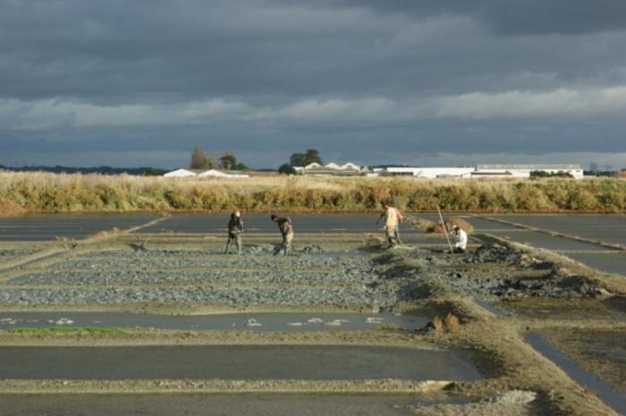 Villa Les Quatre Vents La Baule Dış mekan fotoğraf